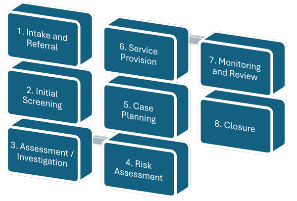 The high-level flow diagram of CCWIS